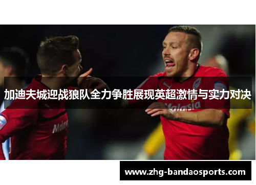 加迪夫城迎战狼队全力争胜展现英超激情与实力对决